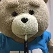 がんこちゃん