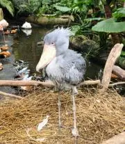 たったんmamaの画像