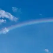 とまとの画像