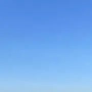 POMの画像
