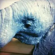 カルビくんの画像