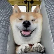 旨辛の画像