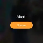 タヌミチゴトキの画像