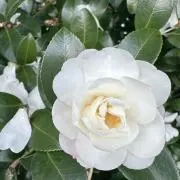 ☆とい☆の画像