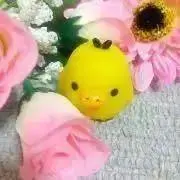 さくらの画像
