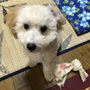 HYTの画像