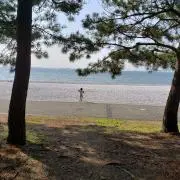 なおチャンまん
