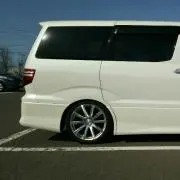 アルアルミッツの画像
