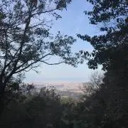 merunaokiの画像