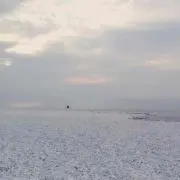まみこ