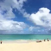 いっちーの画像