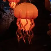 YJの画像