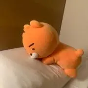 アールスの画像