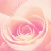 Miruru ✤プロフ必読願いますの画像