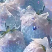 maki.の画像