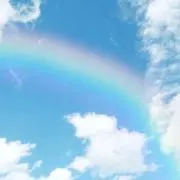 キウイの画像