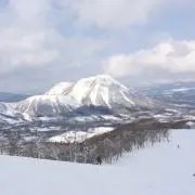 たんたんの画像