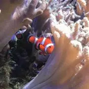 あ-ちゃん