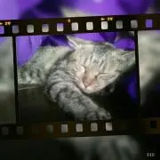＊涼花　必ずプロフ必読です＊