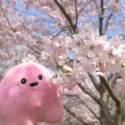 Aの画像