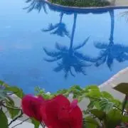 楓の画像