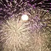 はなちゃんの画像