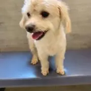 namichaの画像