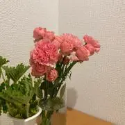 samimamiの画像