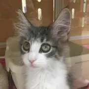 壇