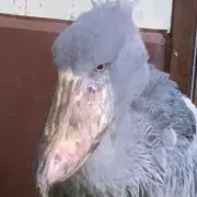 TAKEの画像