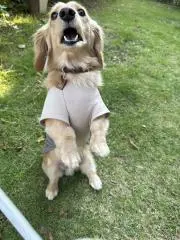 TEOの画像