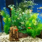 癒やしの部屋♬の画像
