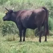 ライダー。の画像