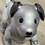 リーガルスキームの画像