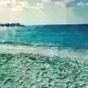 なちょすの画像
