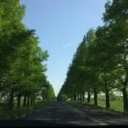 MB