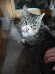 あきの画像