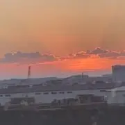 つっきー