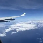 ゆりの画像