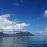 ひぃひぃの画像