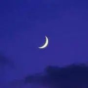 mimiの画像