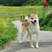 こた@7/6まで発送おやすみの画像