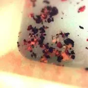 ユーリの画像