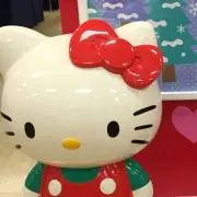 みぃさんの画像