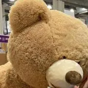 さの画像