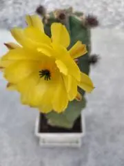 chihono9の画像