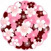 HanaHanaの画像