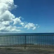 みかん