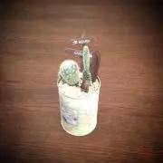 chocolatの画像