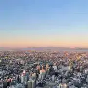 ばななの画像